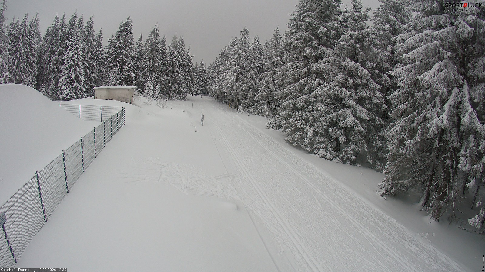 Archiv Foto Webcam Stein 16 am Wanderweg Rennsteig