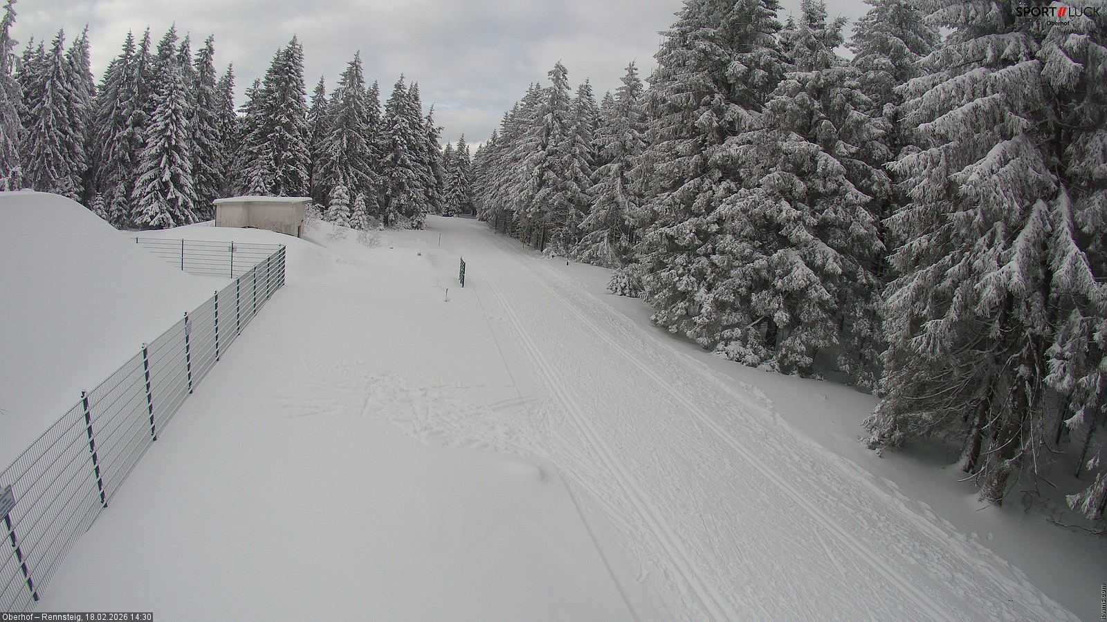 Archiv Foto Webcam Stein 16 am Wanderweg Rennsteig