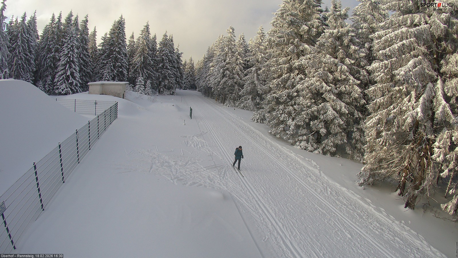 Archiv Foto Webcam Stein 16 am Wanderweg Rennsteig