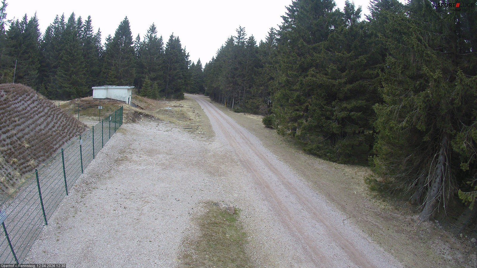Archiv Foto Webcam Stein 16 am Wanderweg Rennsteig