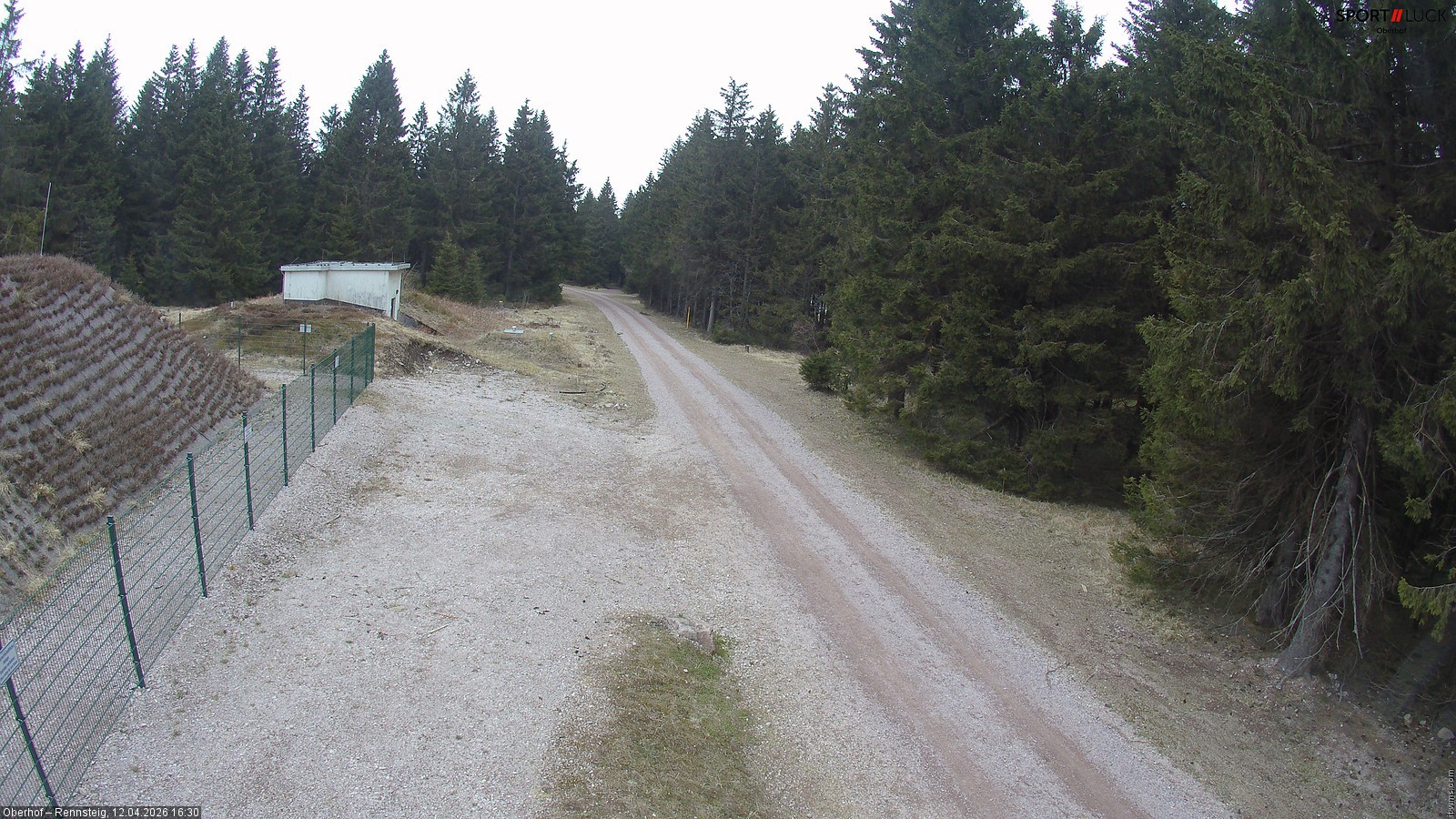 Archiv Foto Webcam Stein 16 am Wanderweg Rennsteig