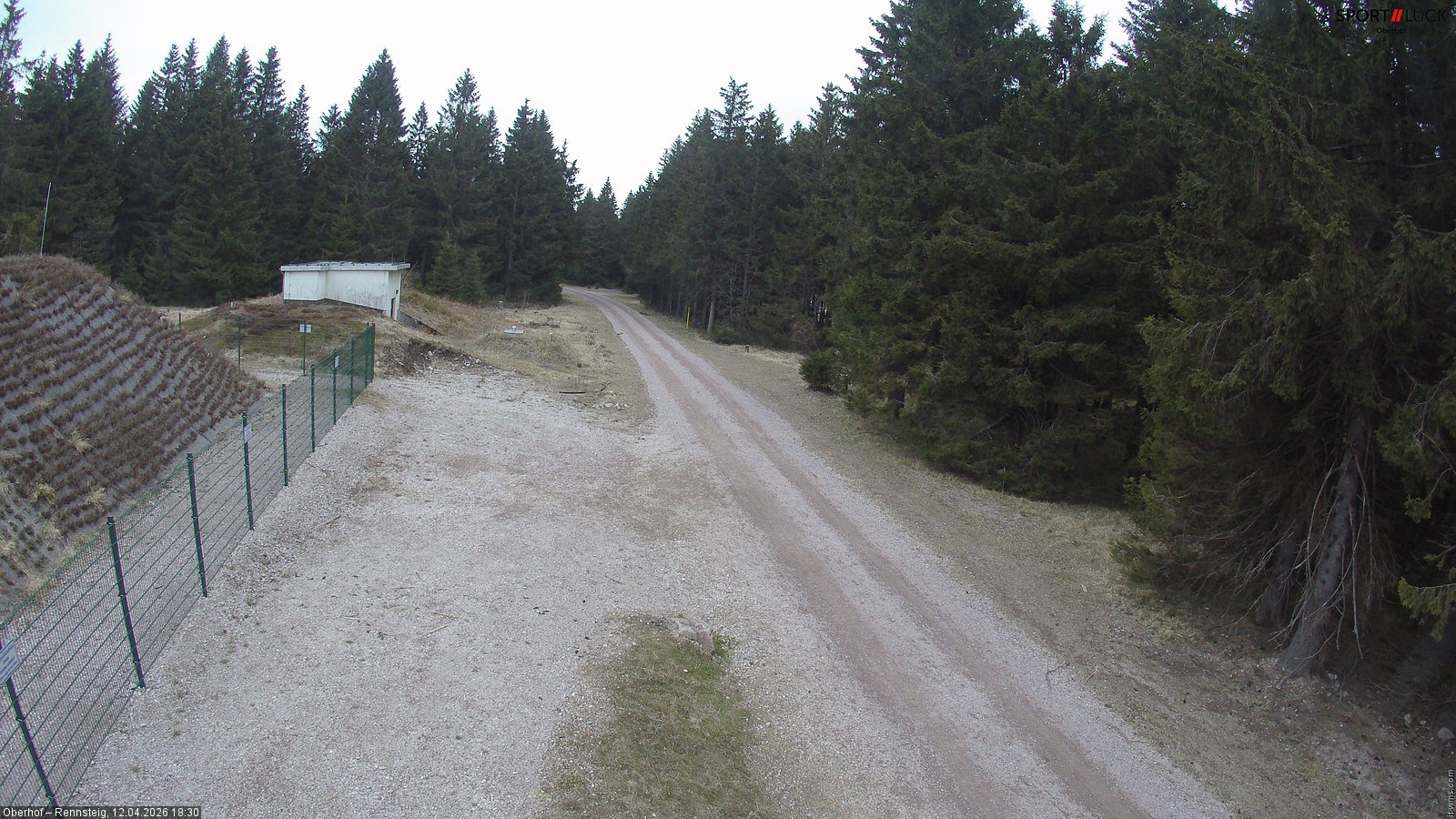 Archiv Foto Webcam Stein 16 am Wanderweg Rennsteig