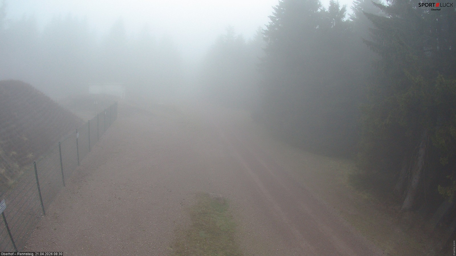 Archiv Foto Webcam Stein 16 am Wanderweg Rennsteig