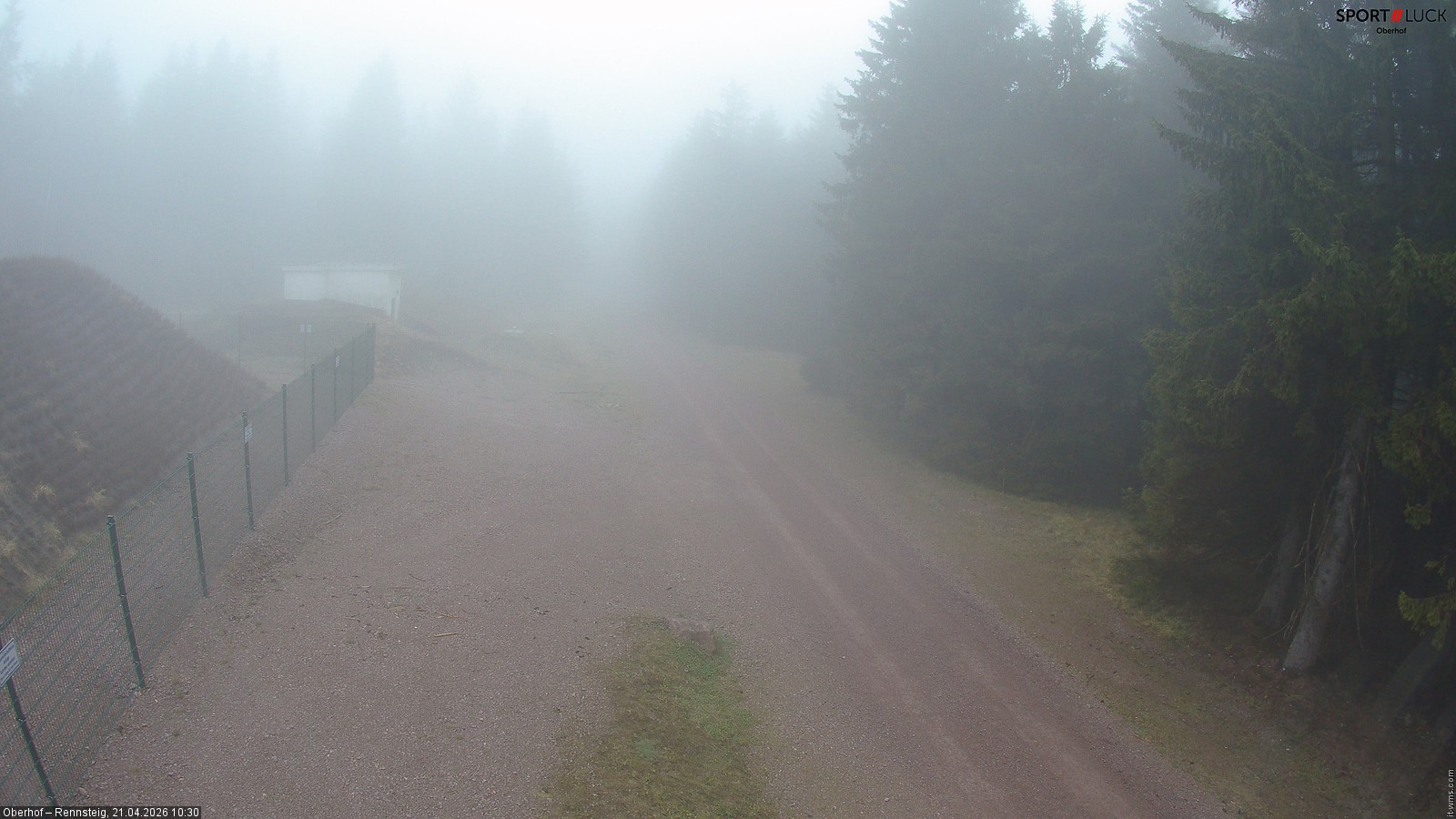 Archiv Foto Webcam Stein 16 am Wanderweg Rennsteig