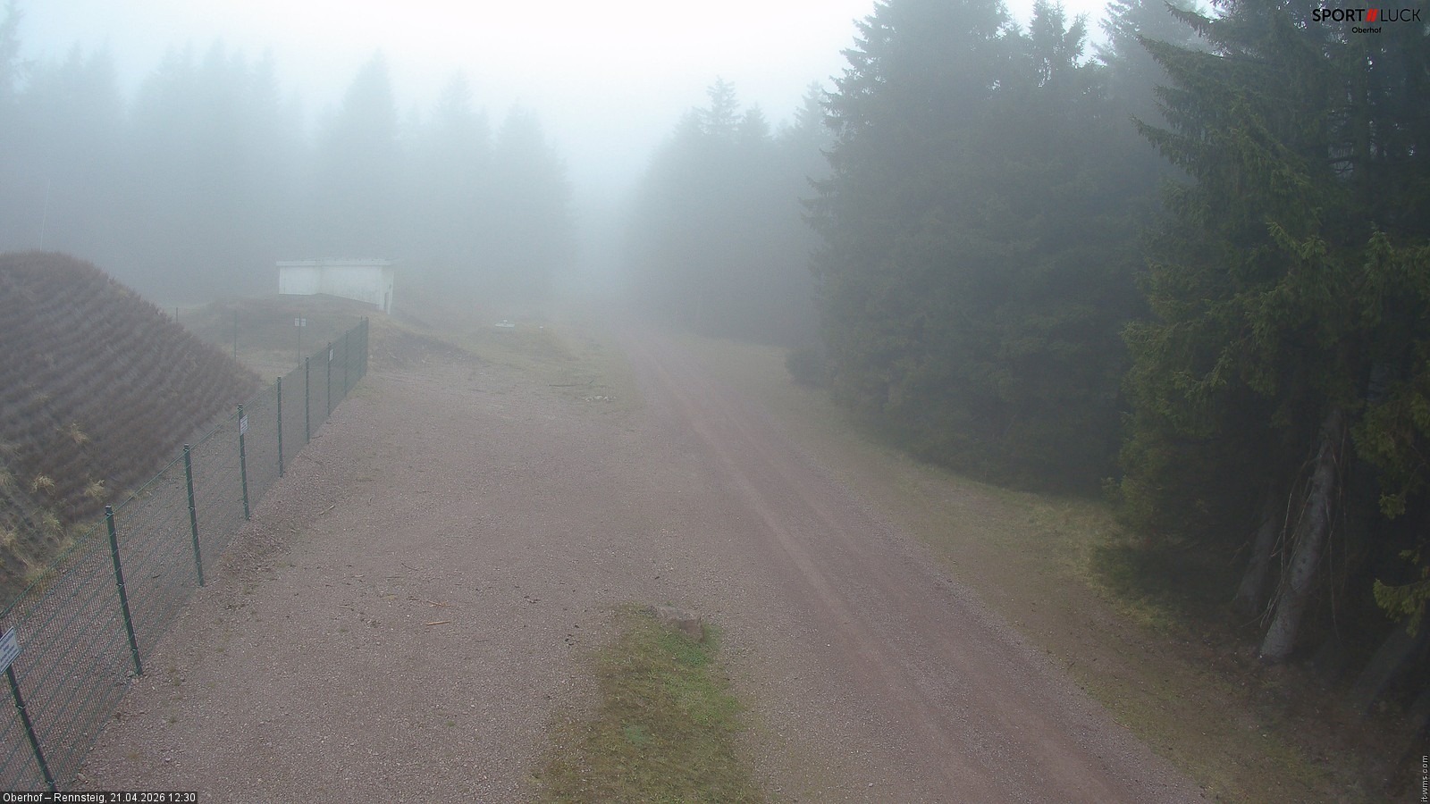Archiv Foto Webcam Stein 16 am Wanderweg Rennsteig