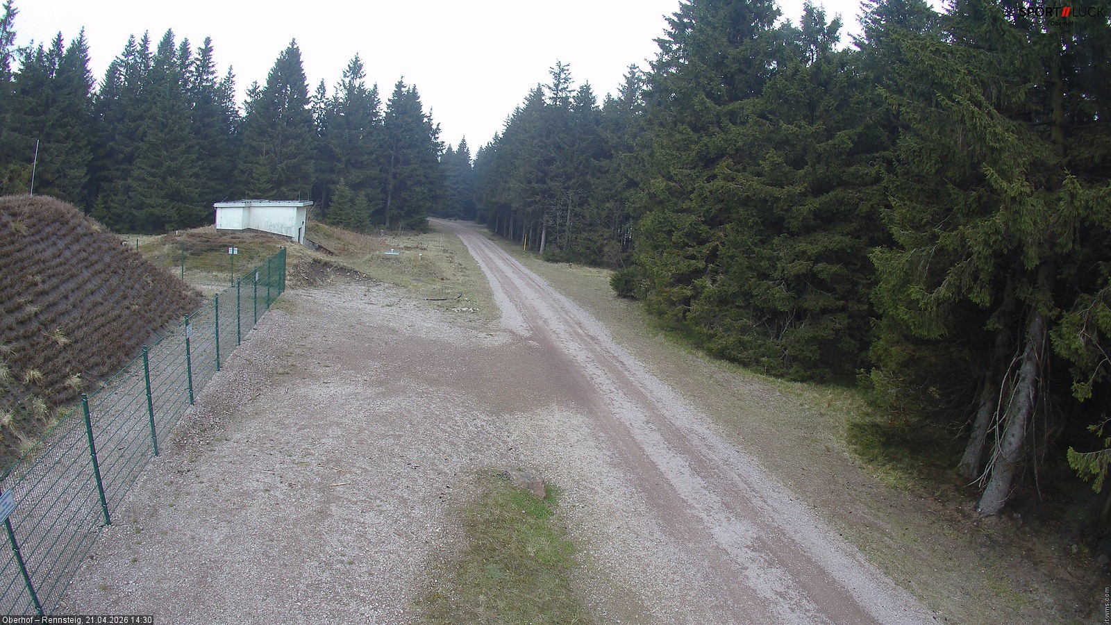 Archiv Foto Webcam Stein 16 am Wanderweg Rennsteig