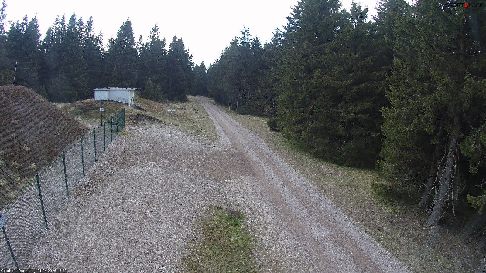 Archiv Foto Webcam Stein 16 am Wanderweg Rennsteig