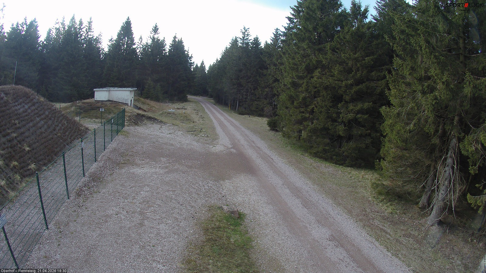 Archiv Foto Webcam Stein 16 am Wanderweg Rennsteig