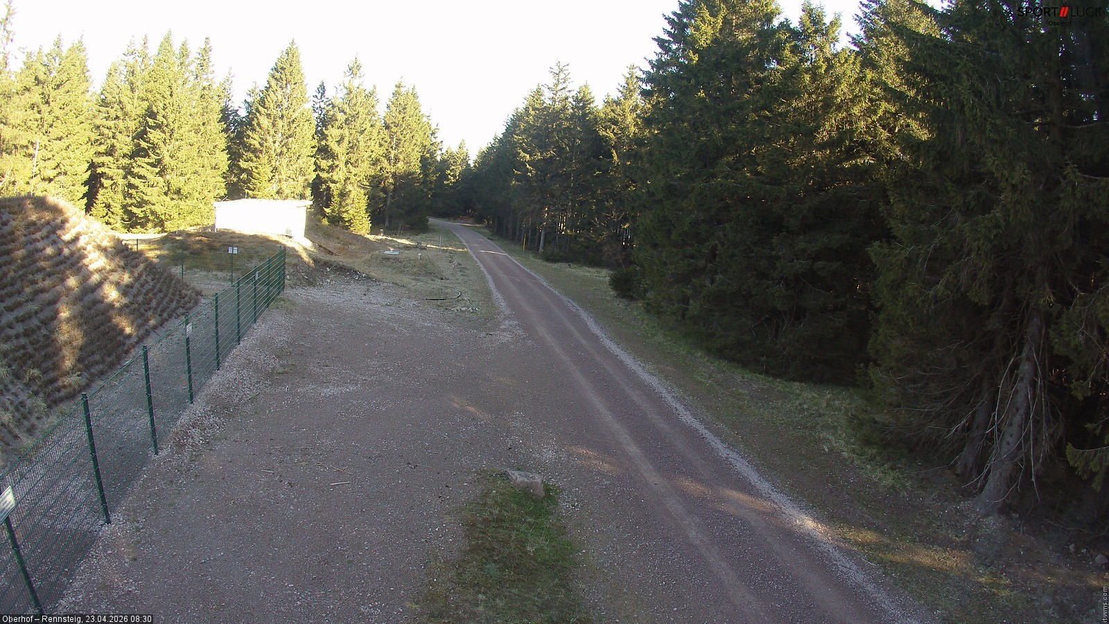 Archiv Foto Webcam Stein 16 am Wanderweg Rennsteig