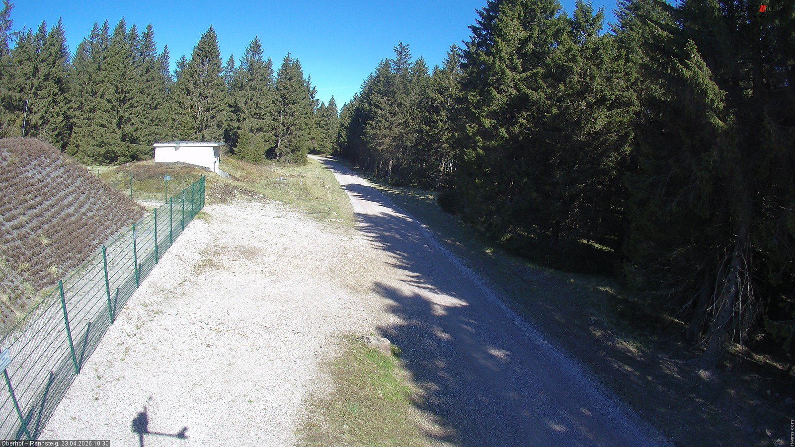 Archiv Foto Webcam Stein 16 am Wanderweg Rennsteig