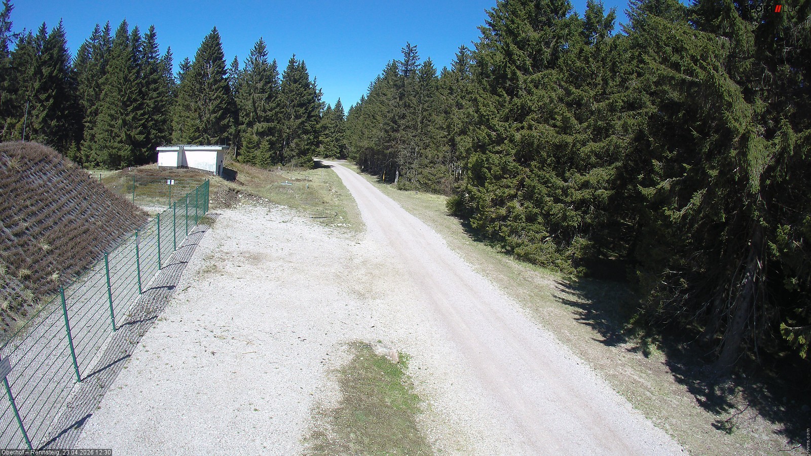 Archiv Foto Webcam Stein 16 am Wanderweg Rennsteig