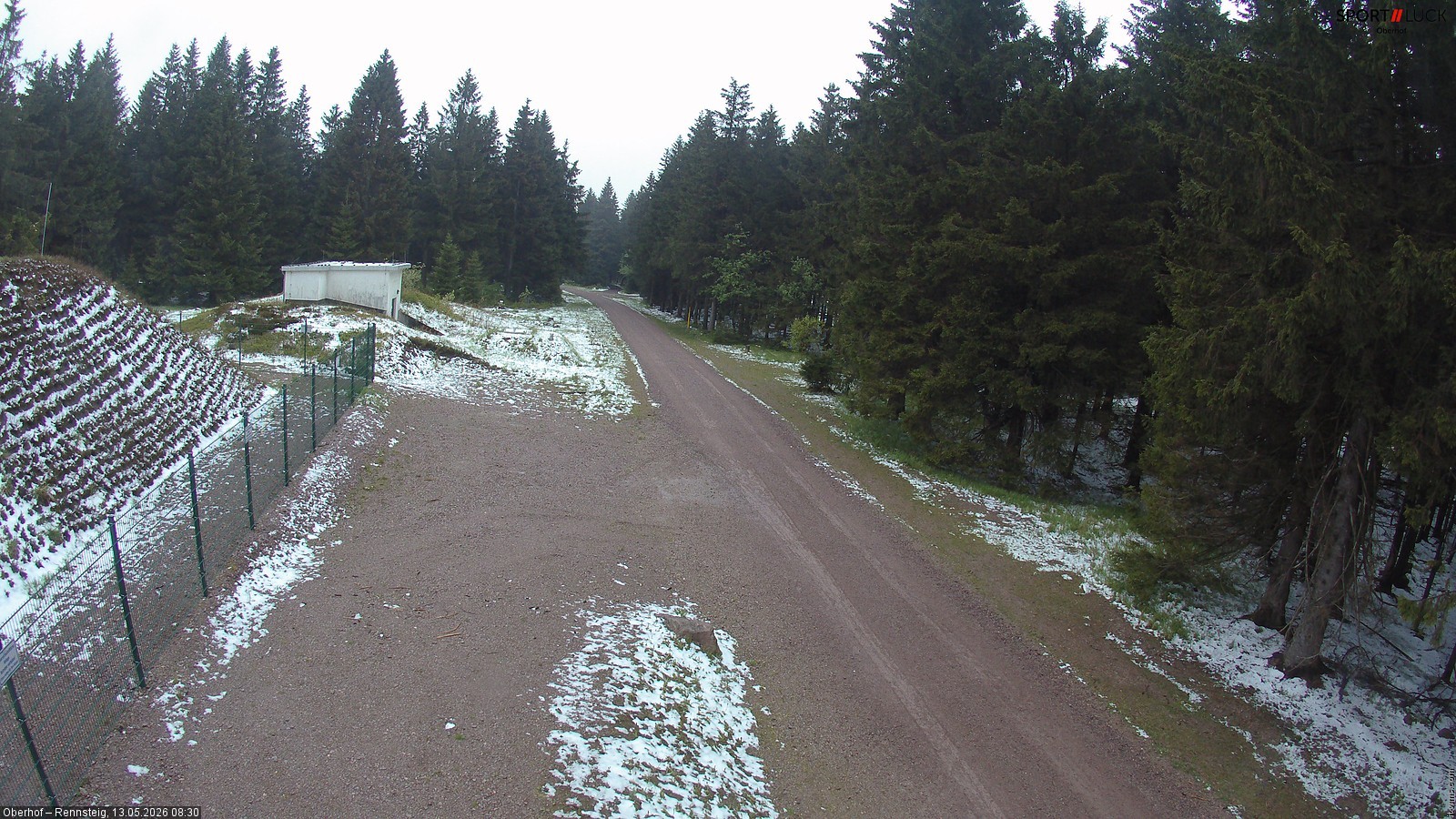 Archiv Foto Webcam Stein 16 am Wanderweg Rennsteig