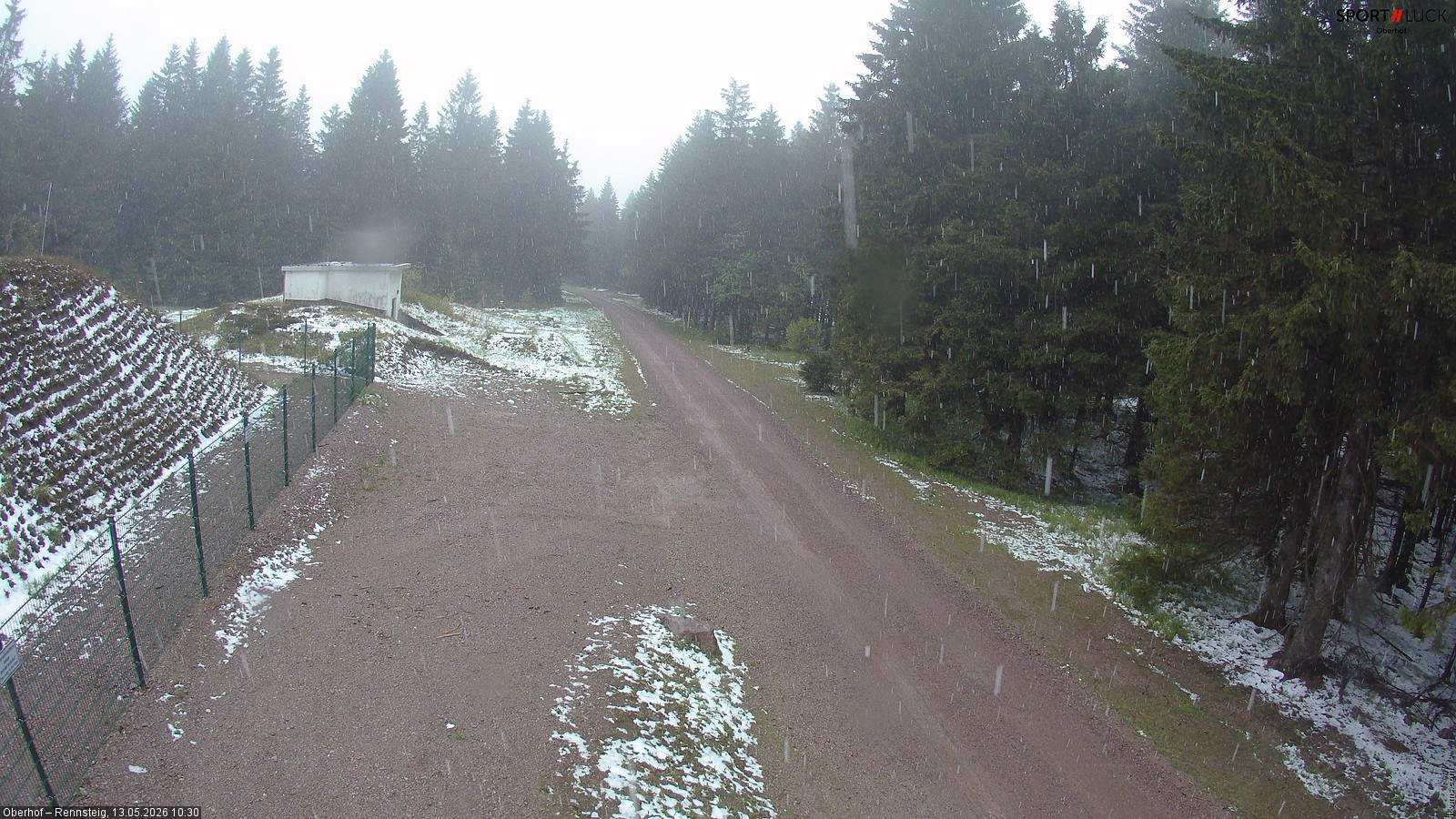 Archiv Foto Webcam Stein 16 am Wanderweg Rennsteig