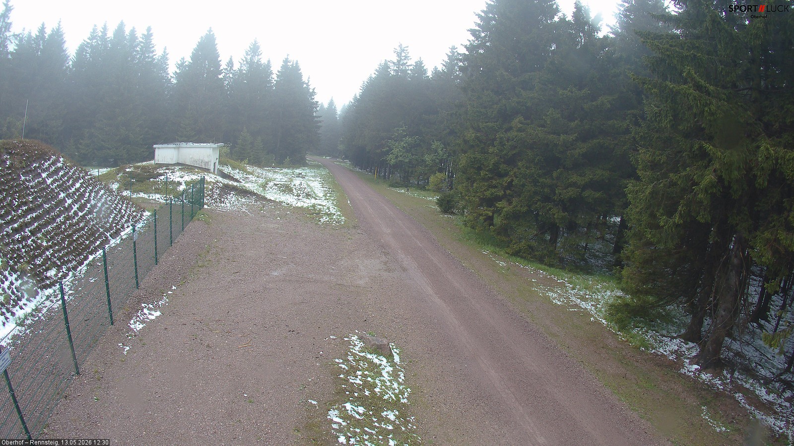 Archiv Foto Webcam Stein 16 am Wanderweg Rennsteig
