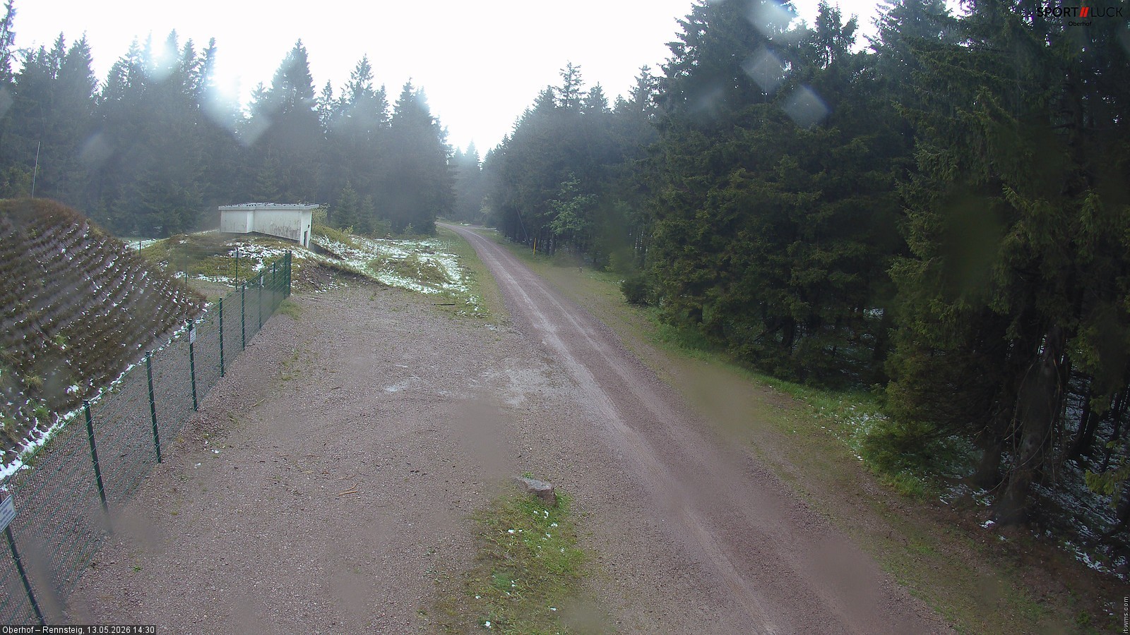 Archiv Foto Webcam Stein 16 am Wanderweg Rennsteig