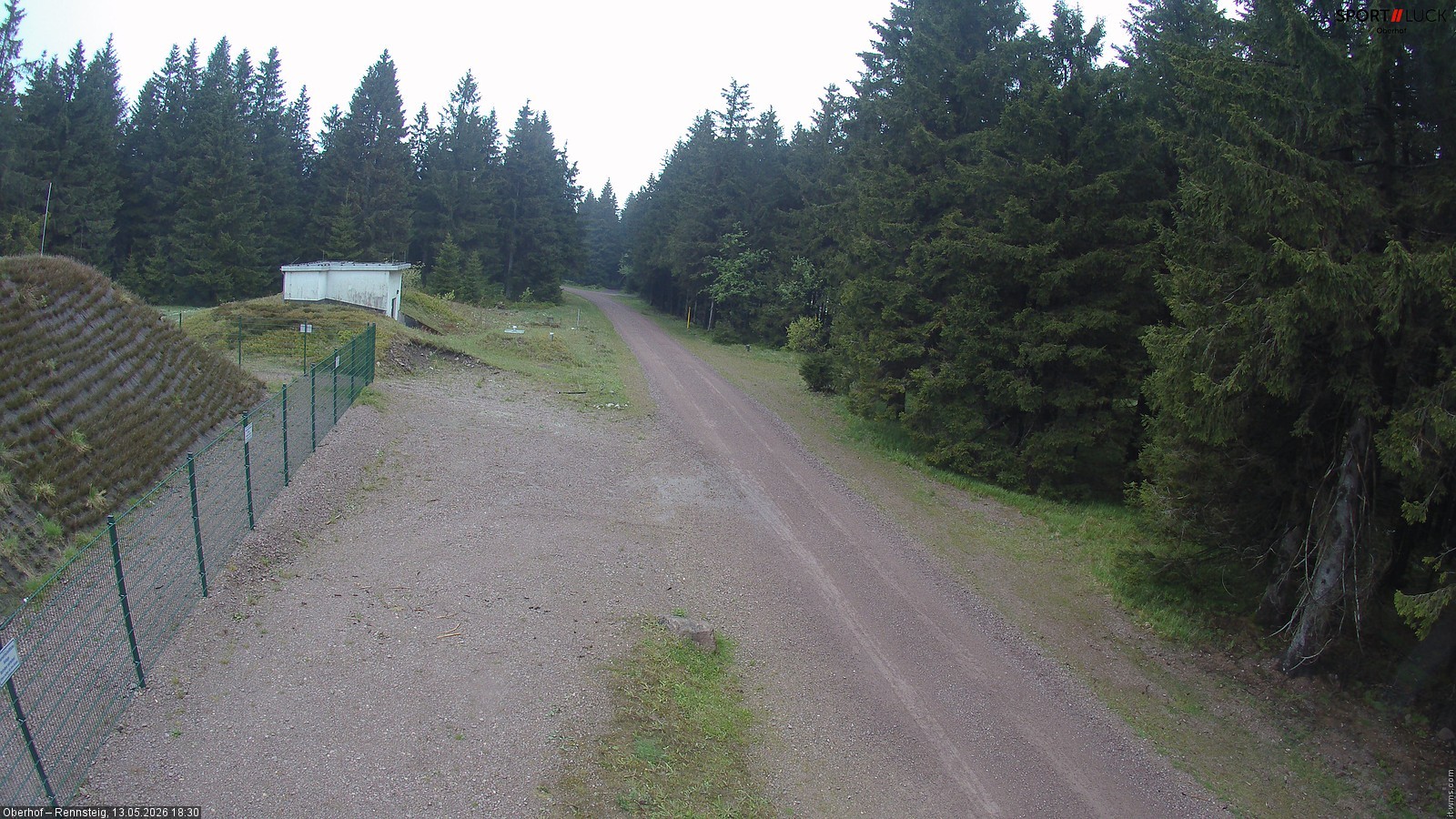 Archiv Foto Webcam Stein 16 am Wanderweg Rennsteig