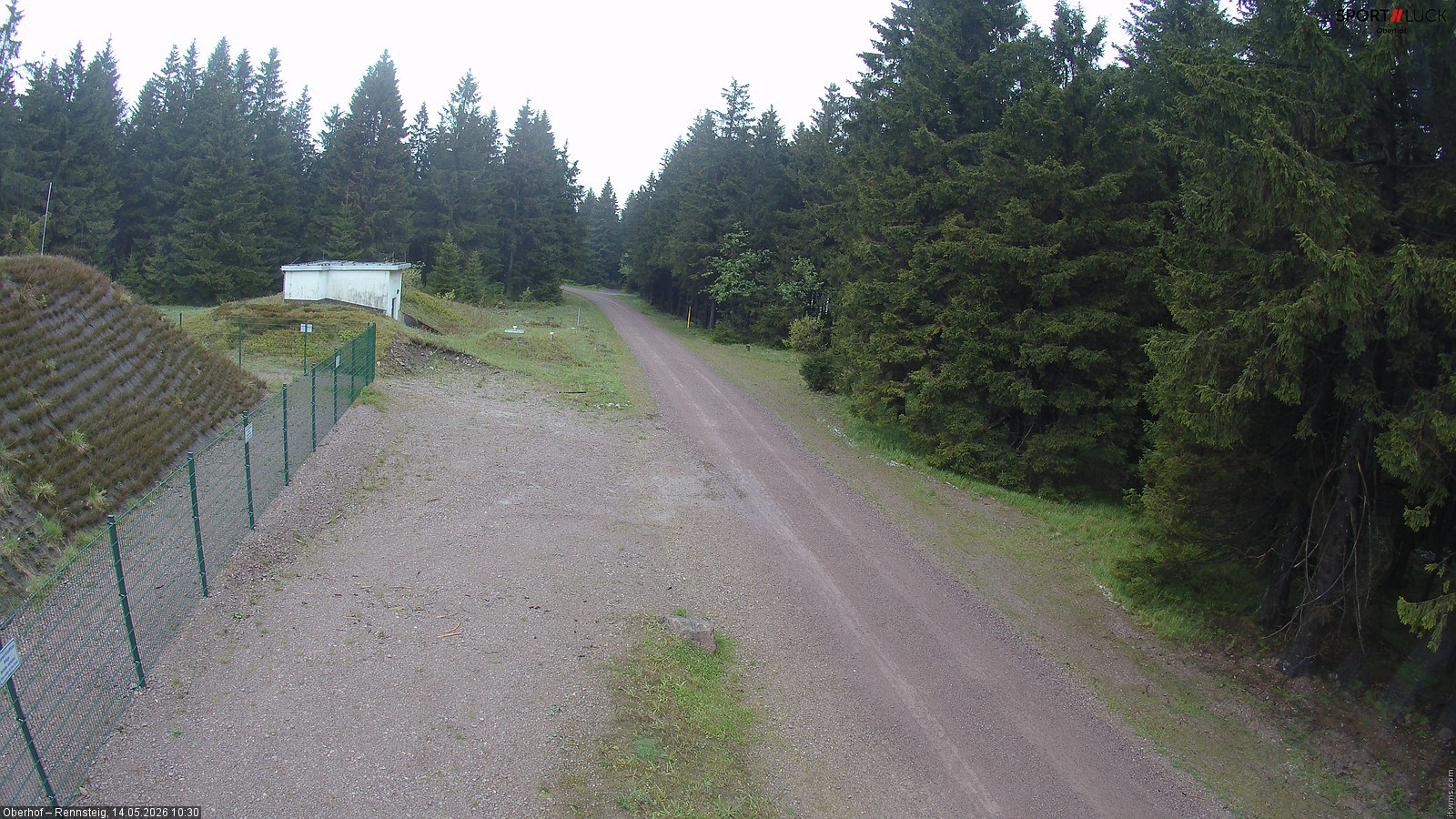 Archiv Foto Webcam Stein 16 am Wanderweg Rennsteig