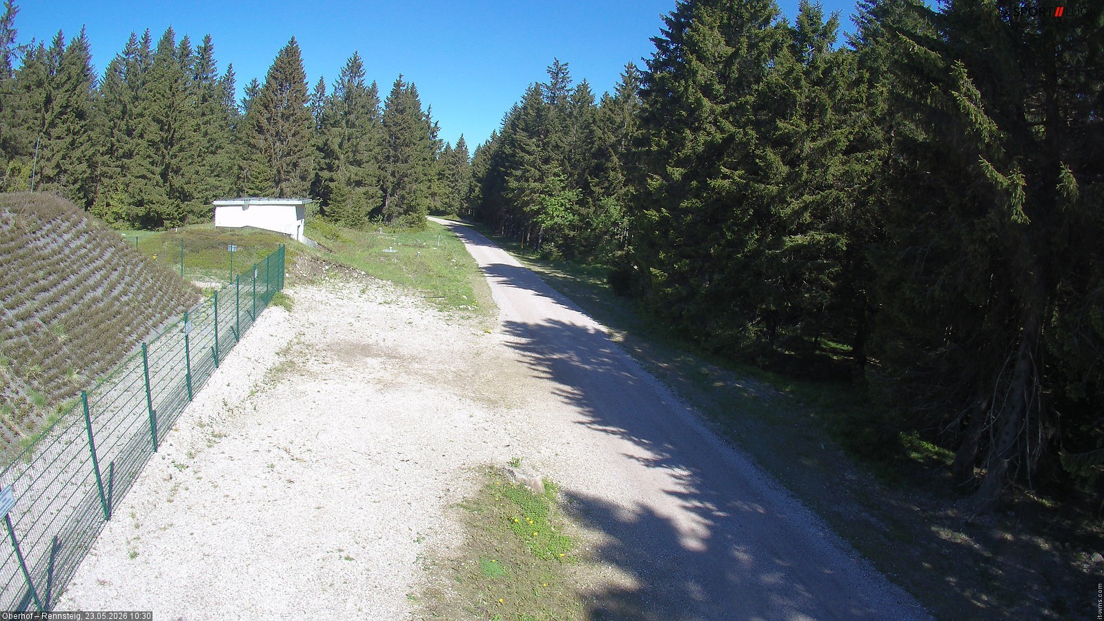 Archiv Foto Webcam Stein 16 am Wanderweg Rennsteig