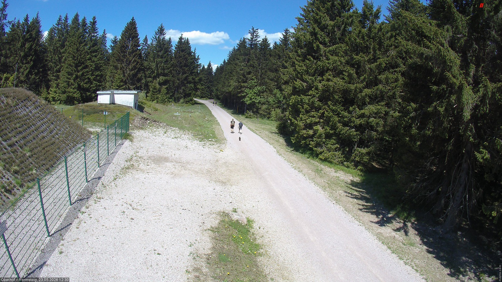 Archiv Foto Webcam Stein 16 am Wanderweg Rennsteig