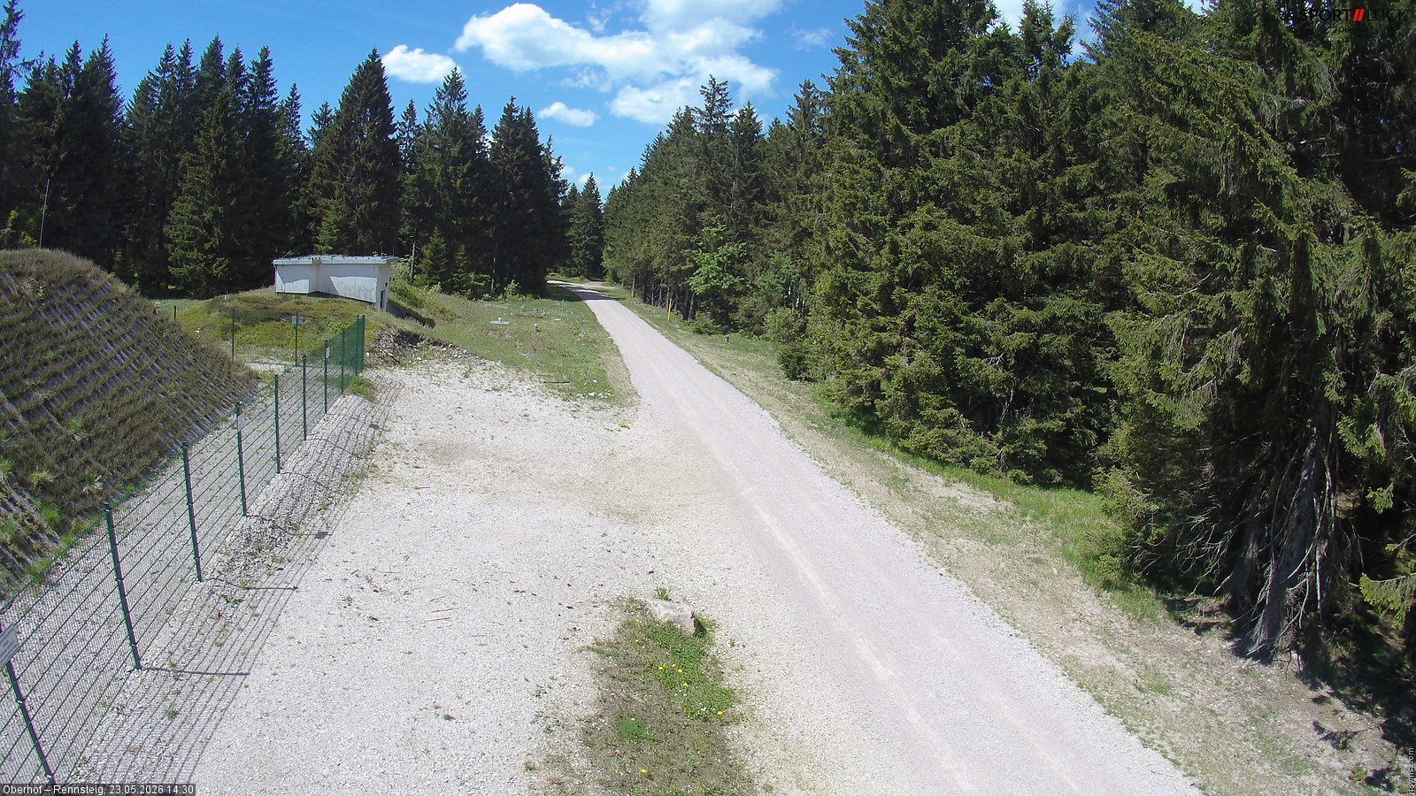 Archiv Foto Webcam Stein 16 am Wanderweg Rennsteig