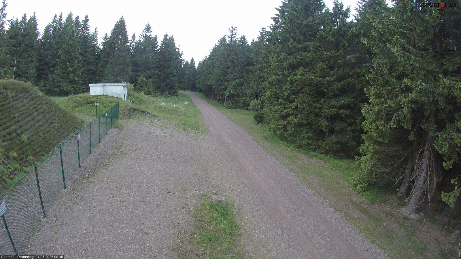 Archiv Foto Webcam Stein 16 am Wanderweg Rennsteig
