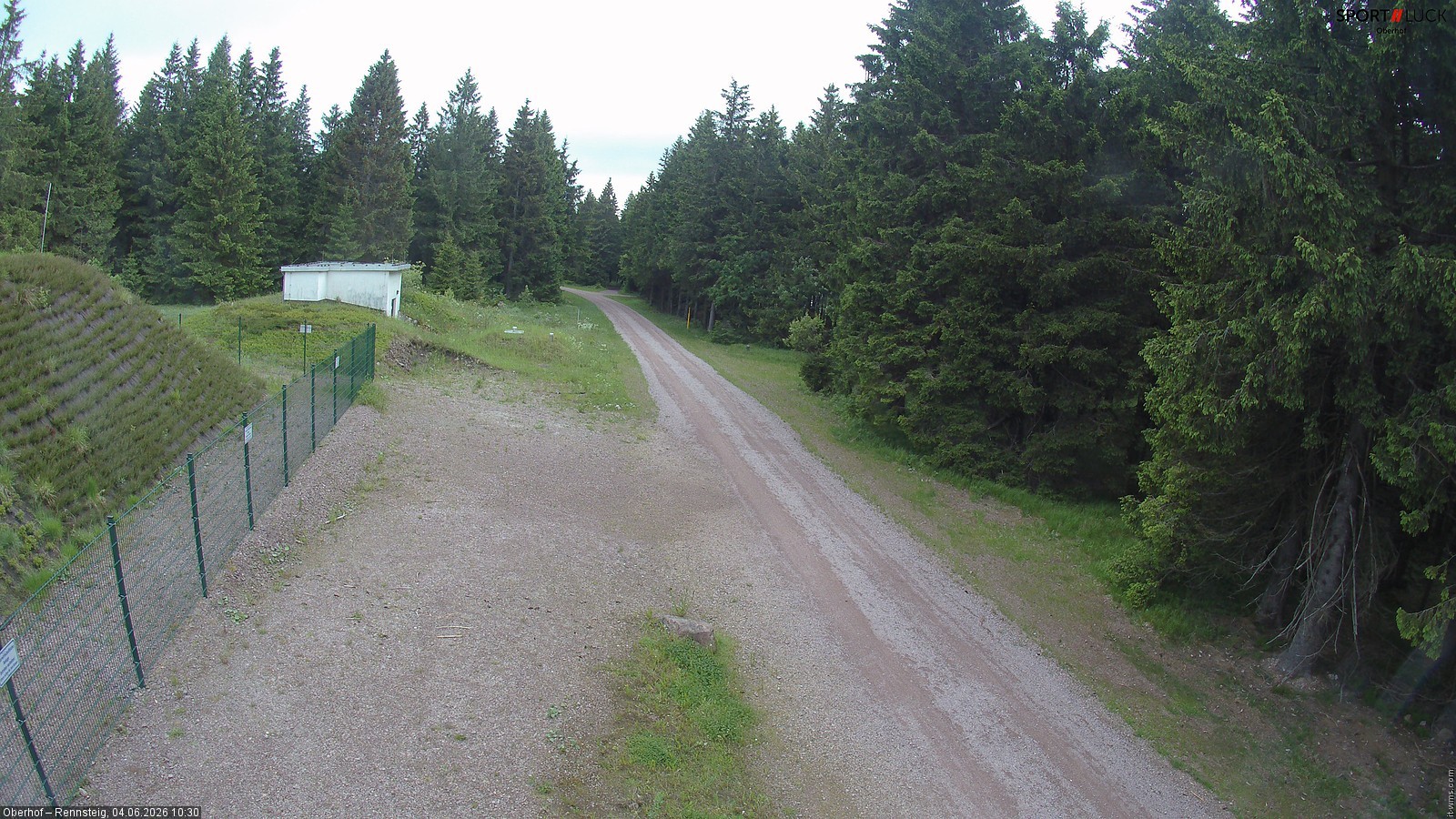 Archiv Foto Webcam Stein 16 am Wanderweg Rennsteig