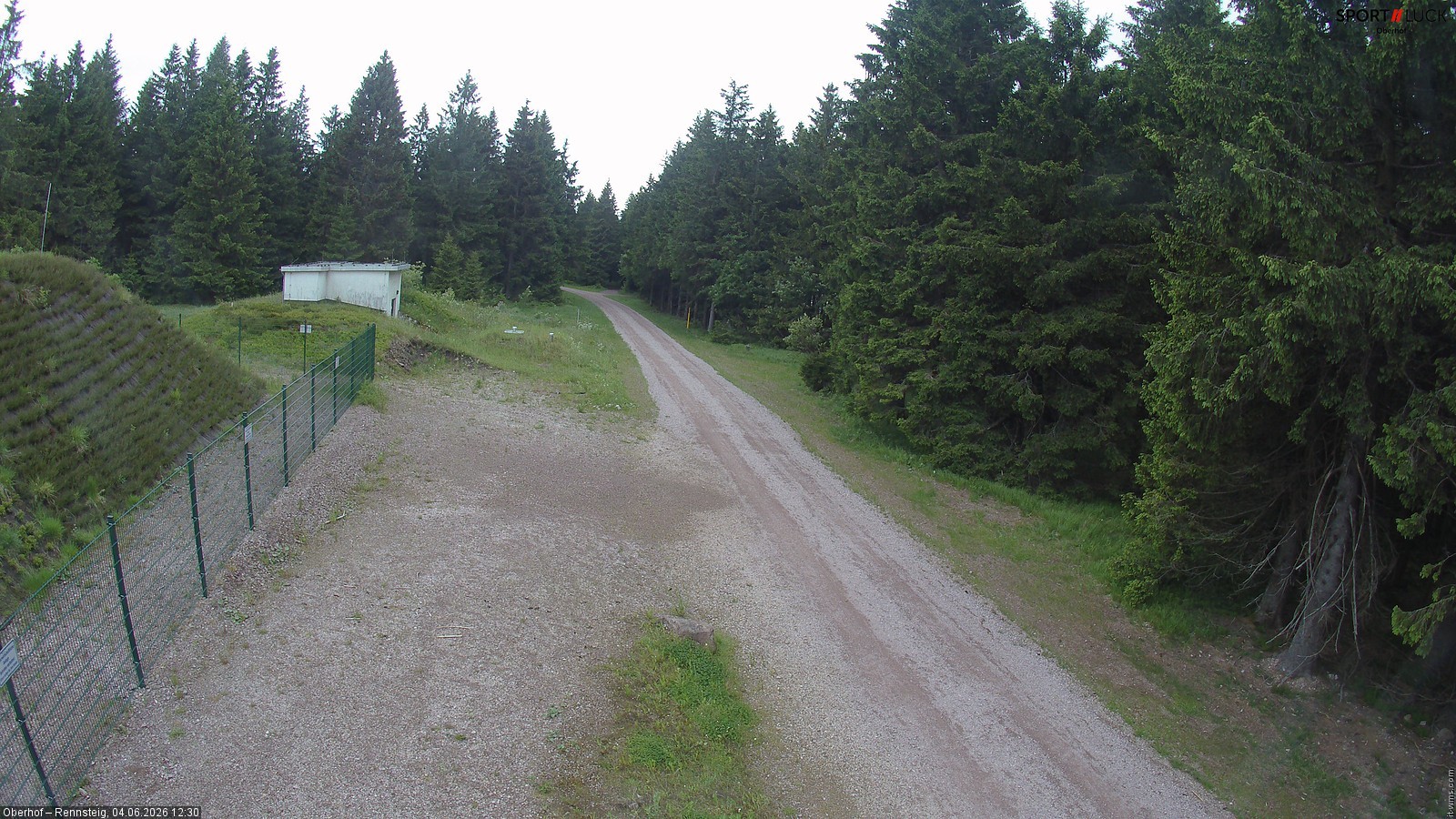 Archiv Foto Webcam Stein 16 am Wanderweg Rennsteig