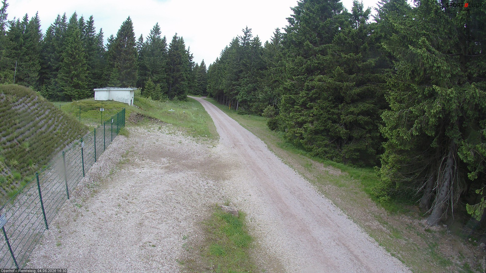 Archiv Foto Webcam Stein 16 am Wanderweg Rennsteig