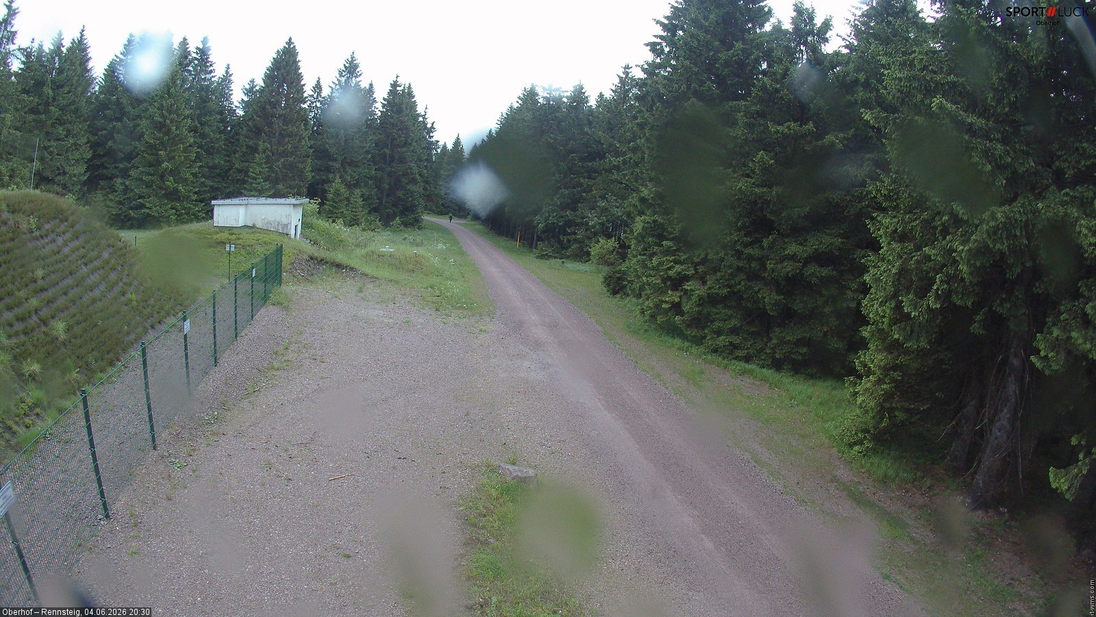 Archiv Foto Webcam Stein 16 am Wanderweg Rennsteig
