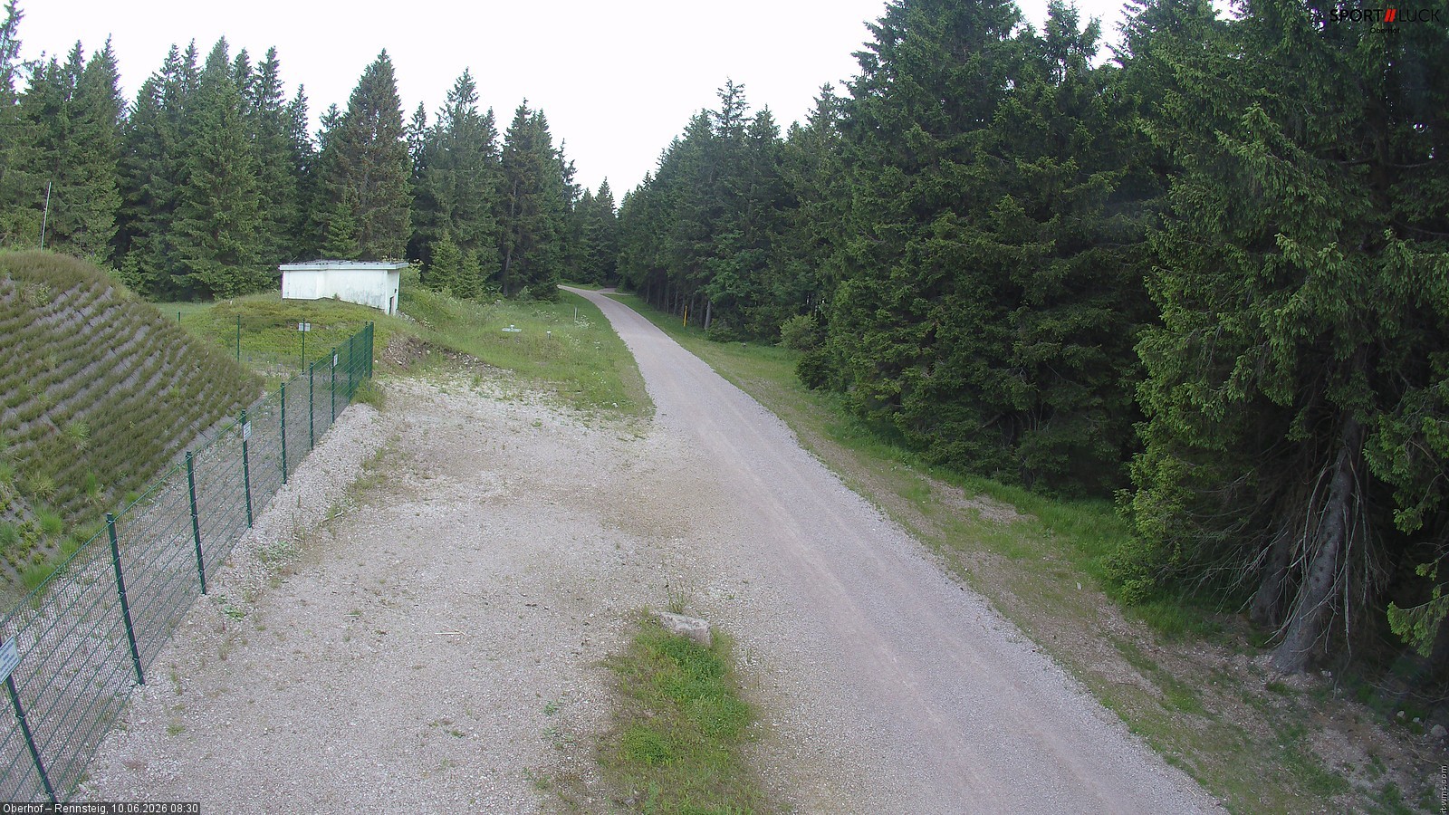 Archiv Foto Webcam Stein 16 am Wanderweg Rennsteig