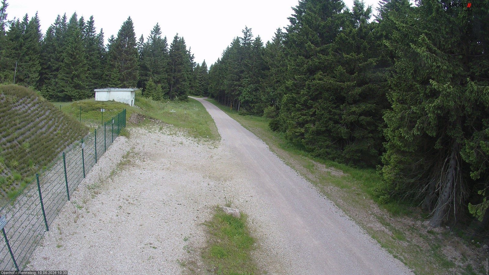 Archiv Foto Webcam Stein 16 am Wanderweg Rennsteig