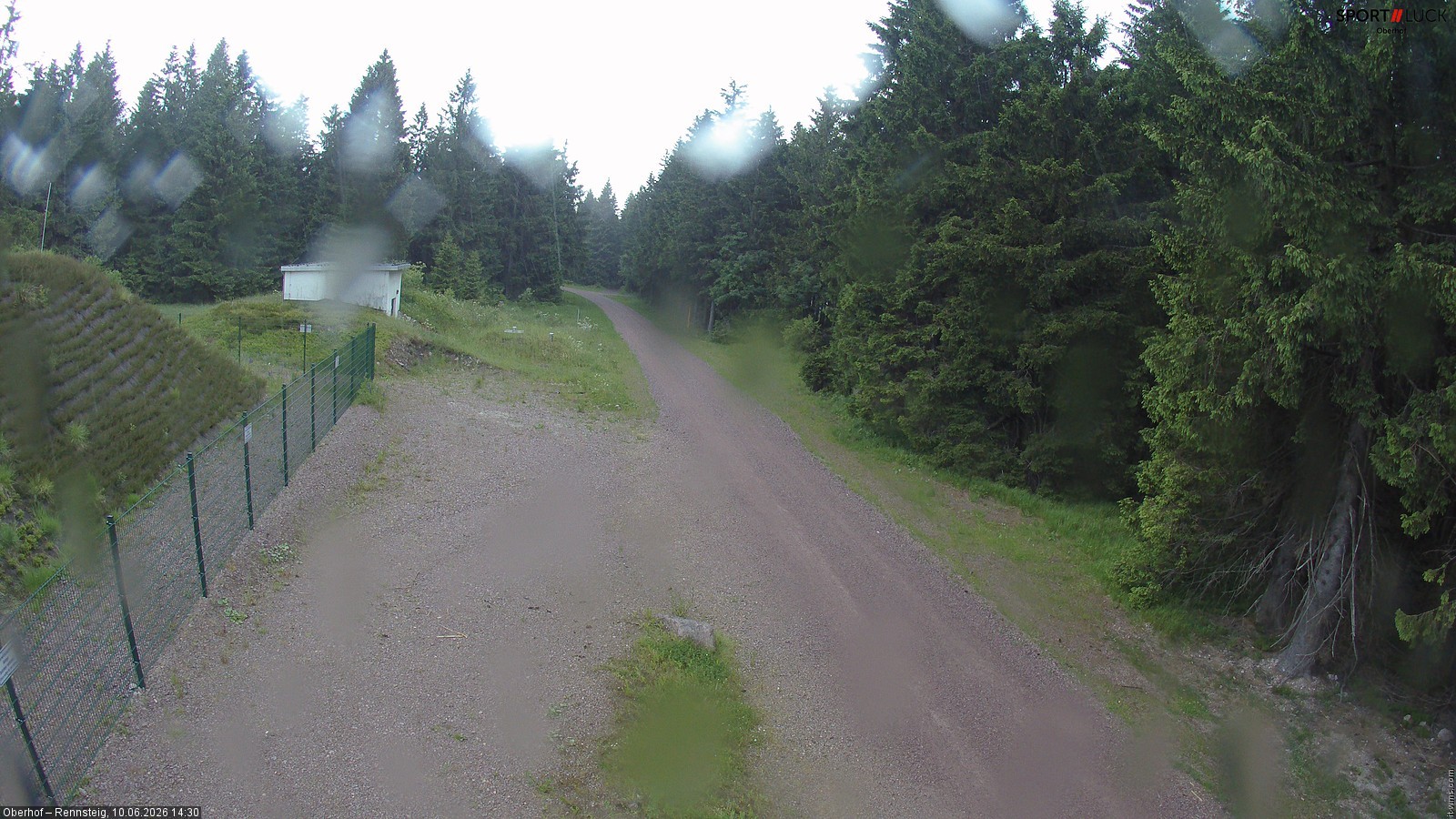 Archiv Foto Webcam Stein 16 am Wanderweg Rennsteig