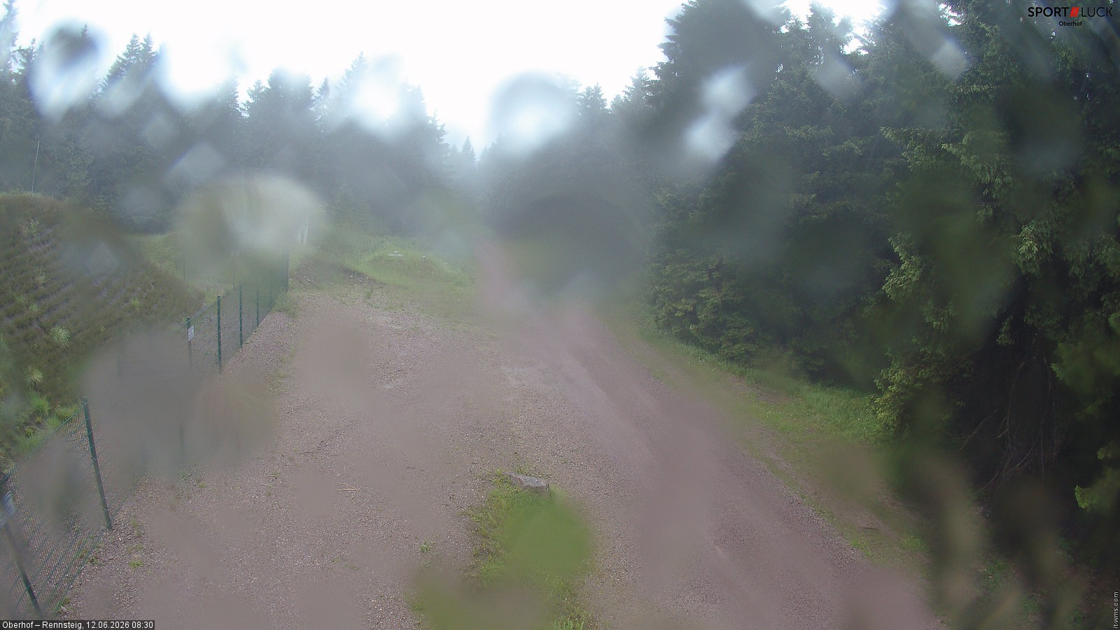Archiv Foto Webcam Stein 16 am Wanderweg Rennsteig