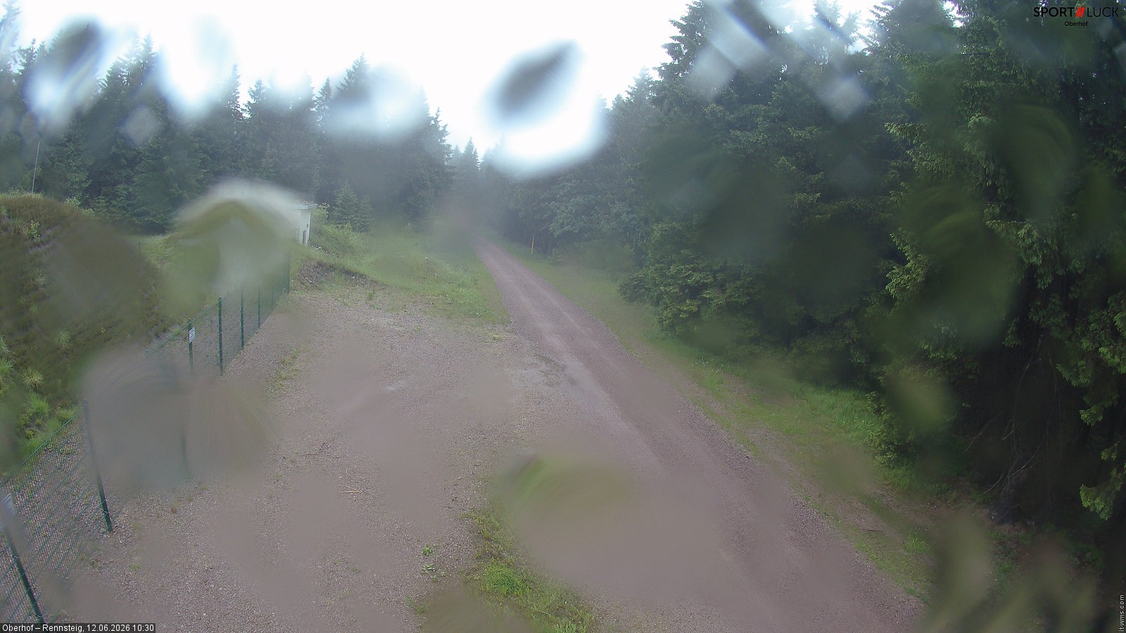 Archiv Foto Webcam Stein 16 am Wanderweg Rennsteig