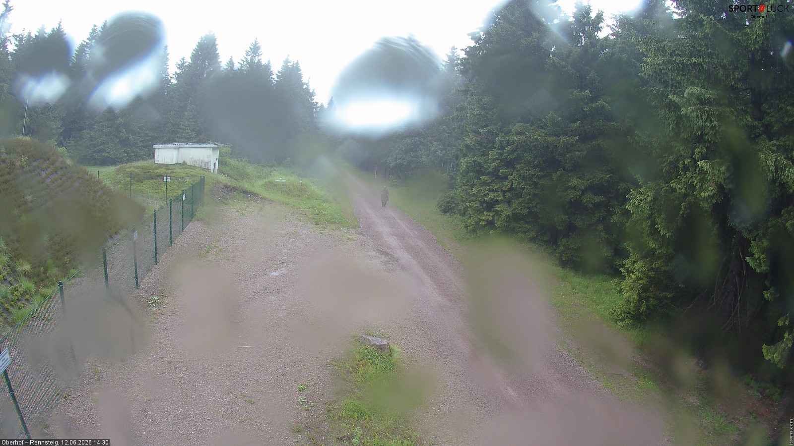 Archiv Foto Webcam Stein 16 am Wanderweg Rennsteig