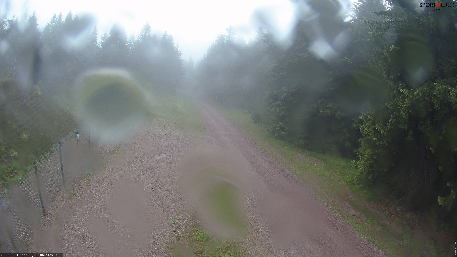 Archiv Foto Webcam Stein 16 am Wanderweg Rennsteig