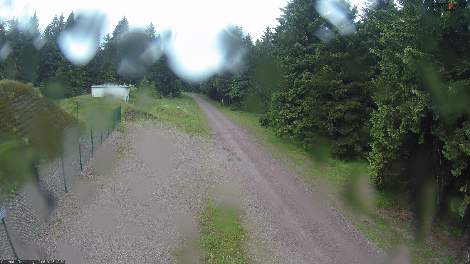 Archiv Foto Webcam Stein 16 am Wanderweg Rennsteig