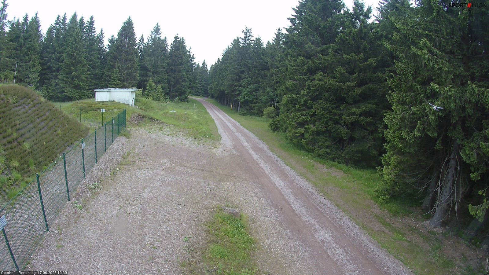 Archiv Foto Webcam Stein 16 am Wanderweg Rennsteig