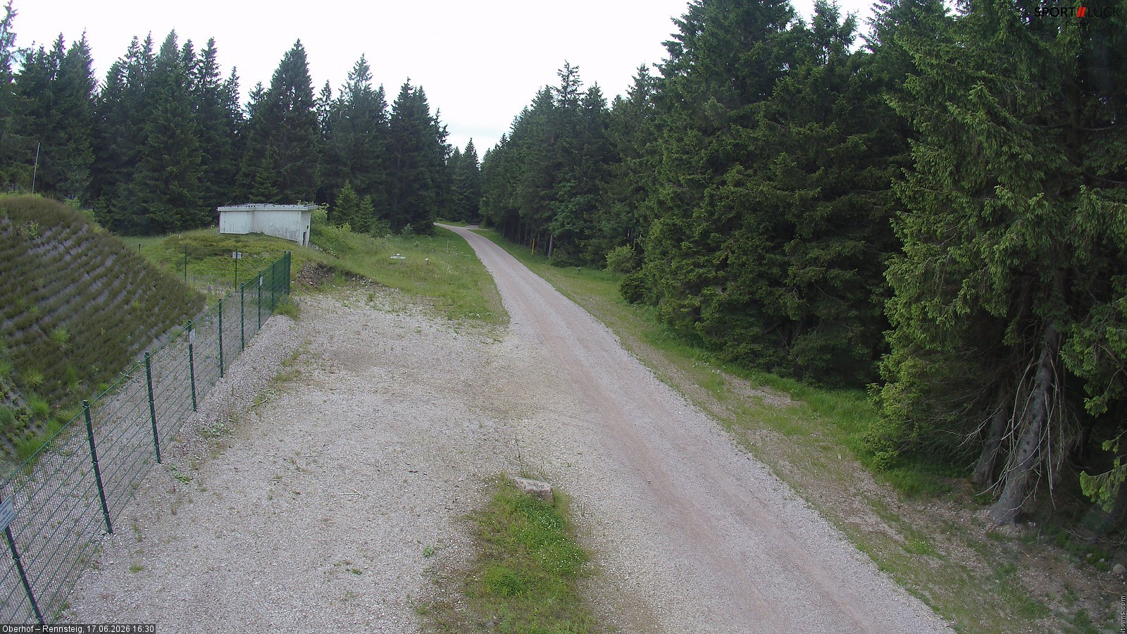 Archiv Foto Webcam Stein 16 am Wanderweg Rennsteig