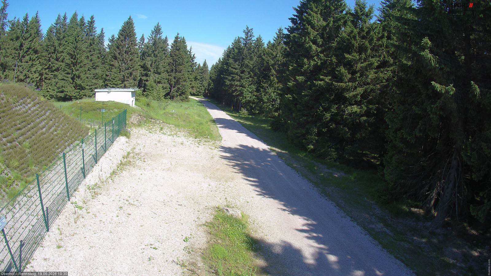 Archiv Foto Webcam Stein 16 am Wanderweg Rennsteig