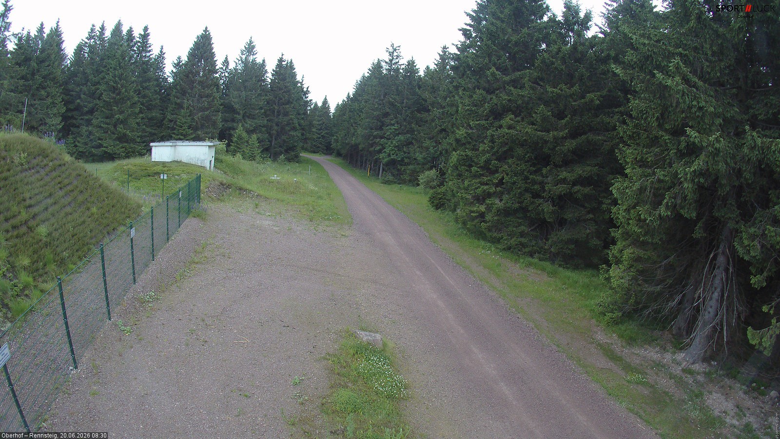 Archiv Foto Webcam Stein 16 am Wanderweg Rennsteig