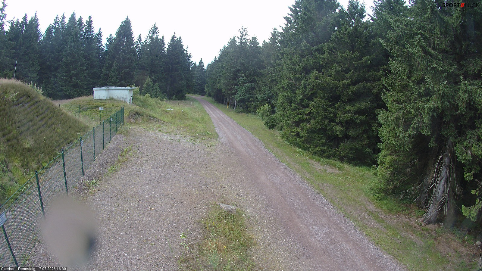 Archiv Foto Webcam Stein 16 am Wanderweg Rennsteig