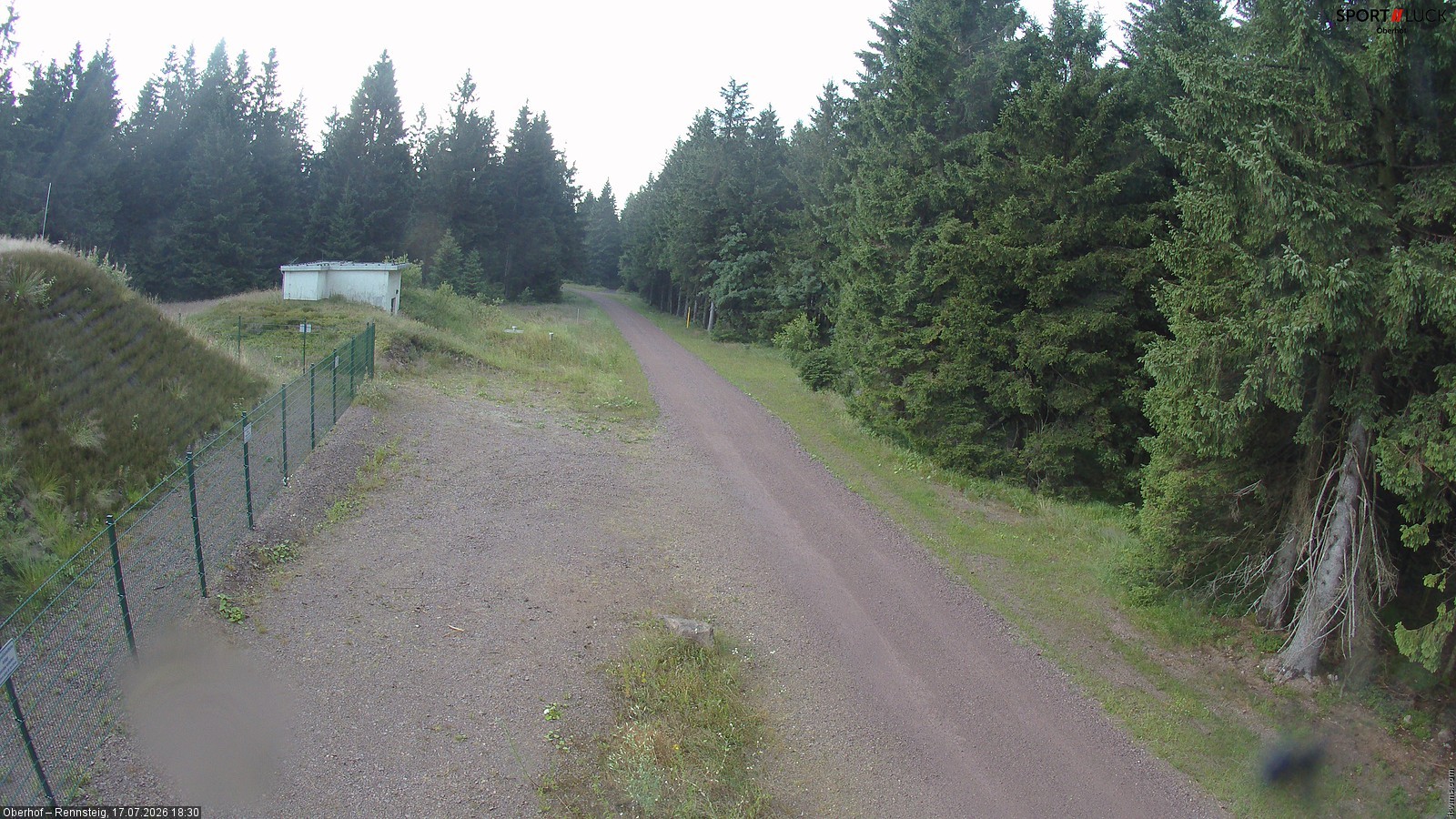 Archiv Foto Webcam Stein 16 am Wanderweg Rennsteig