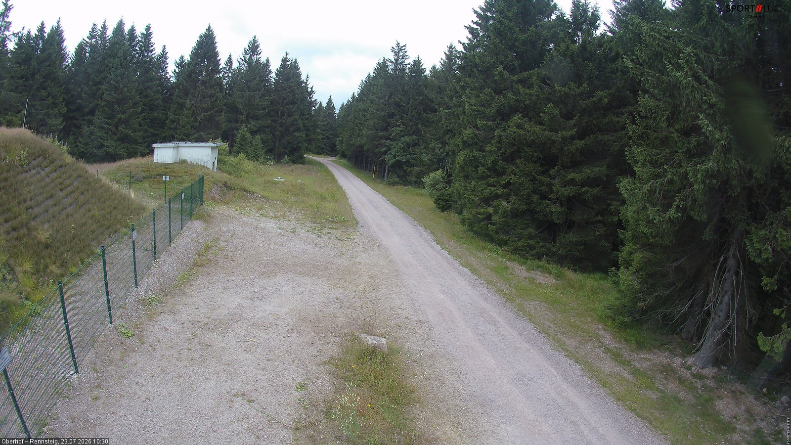 Archiv Foto Webcam Stein 16 am Wanderweg Rennsteig