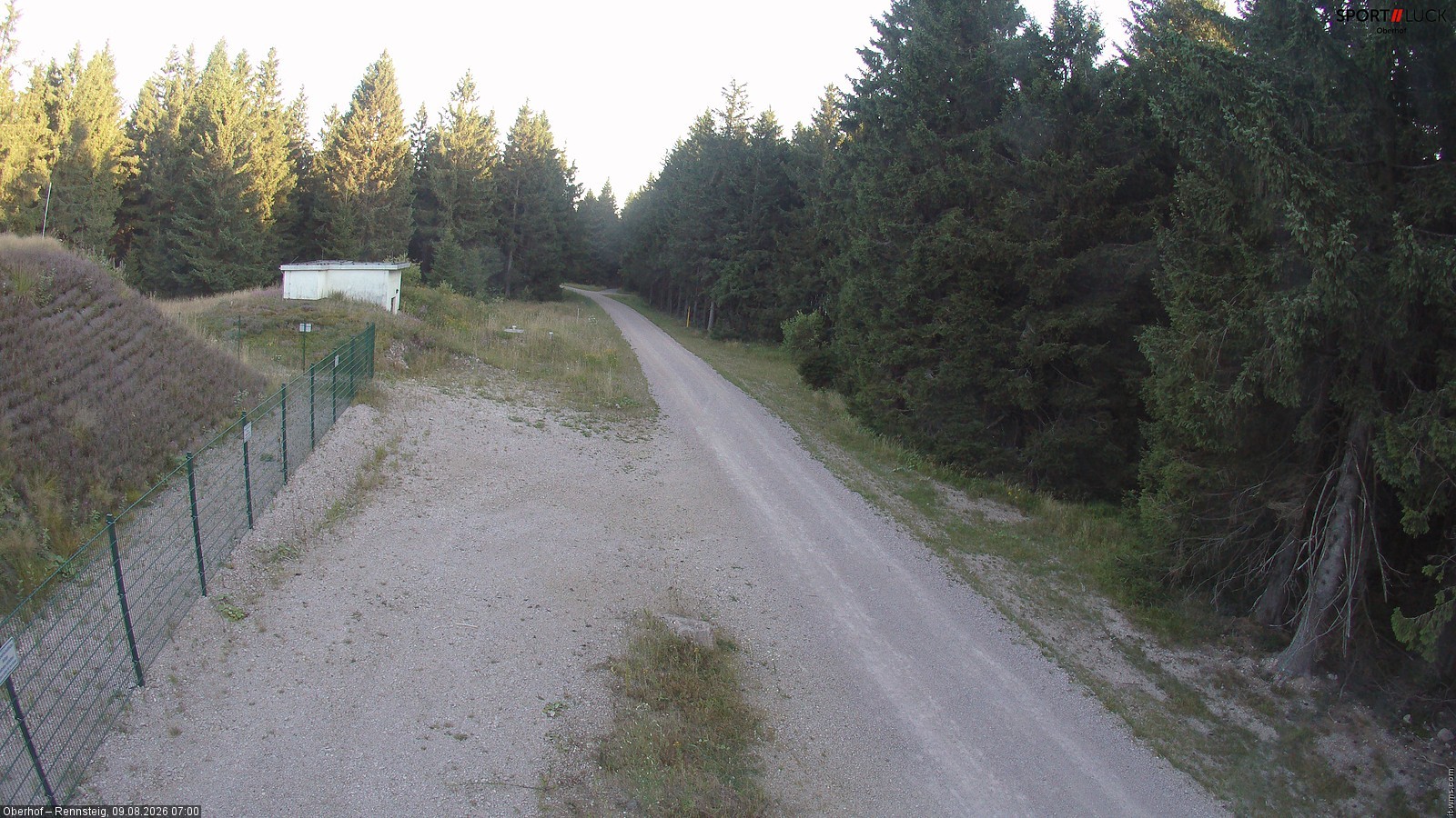 Archiv Foto Webcam Stein 16 am Wanderweg Rennsteig