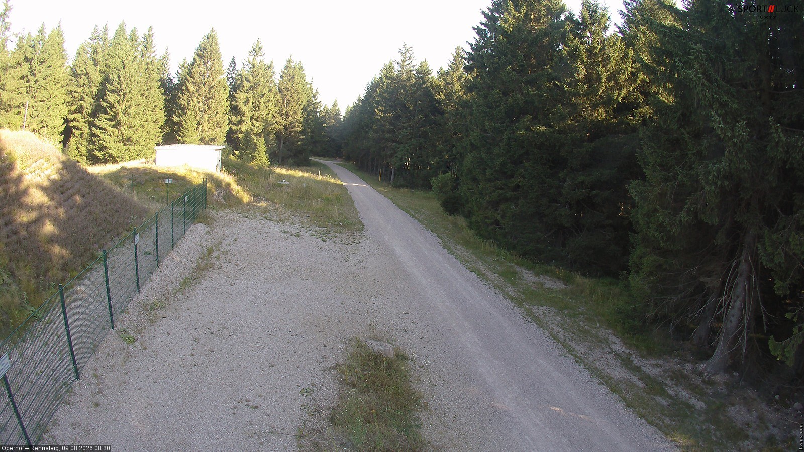 Archiv Foto Webcam Stein 16 am Wanderweg Rennsteig