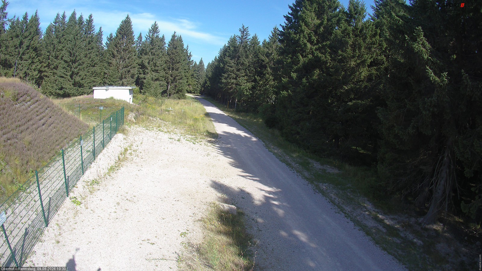 Archiv Foto Webcam Stein 16 am Wanderweg Rennsteig