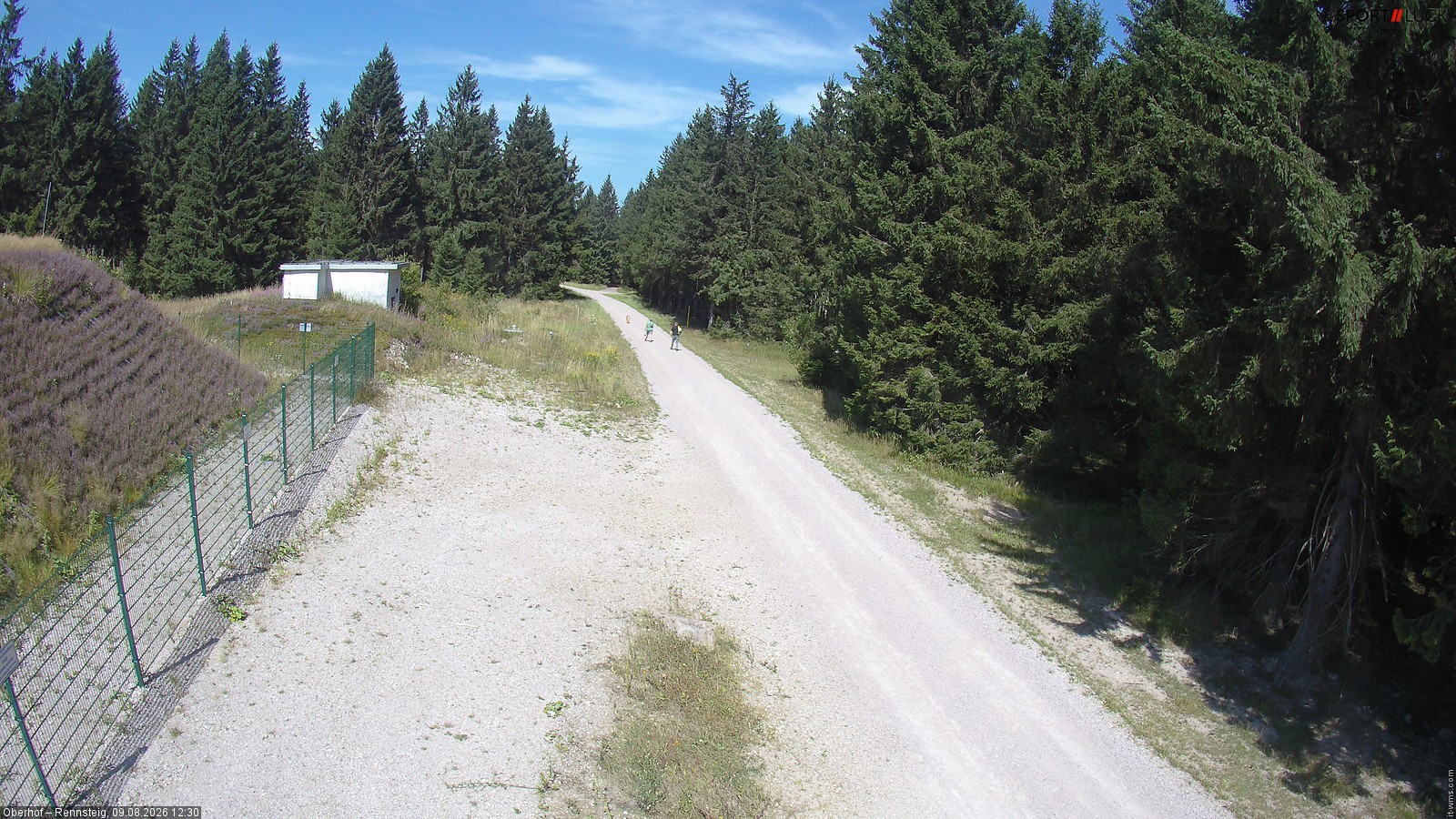 Archiv Foto Webcam Stein 16 am Wanderweg Rennsteig