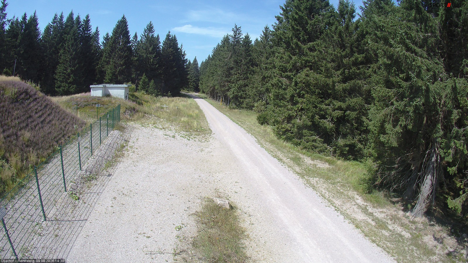 Archiv Foto Webcam Stein 16 am Wanderweg Rennsteig