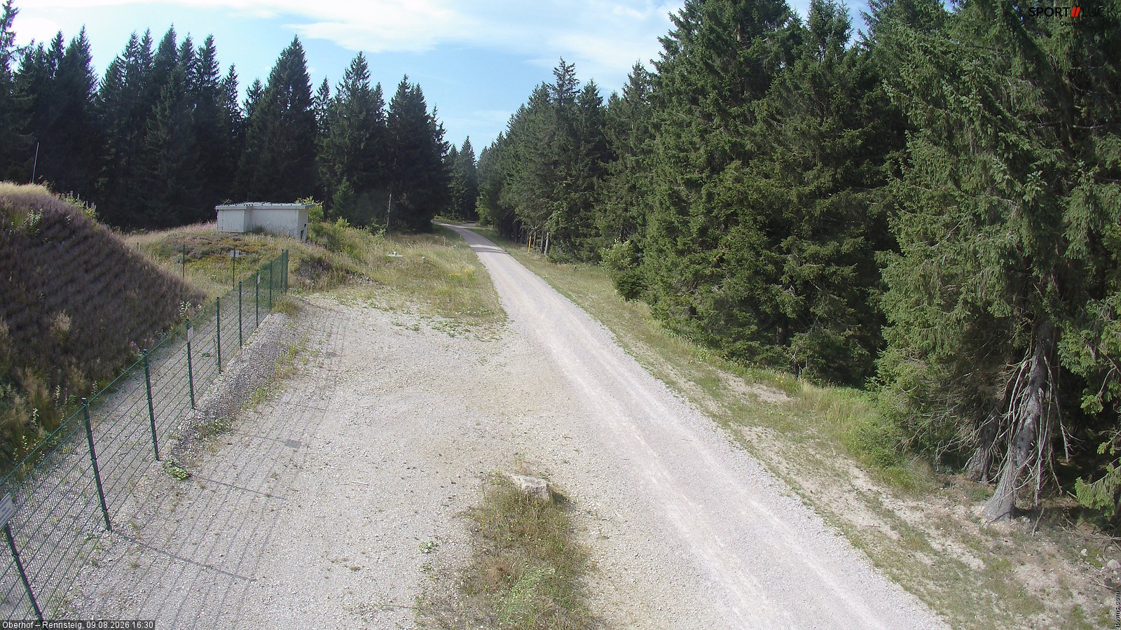 Archiv Foto Webcam Stein 16 am Wanderweg Rennsteig